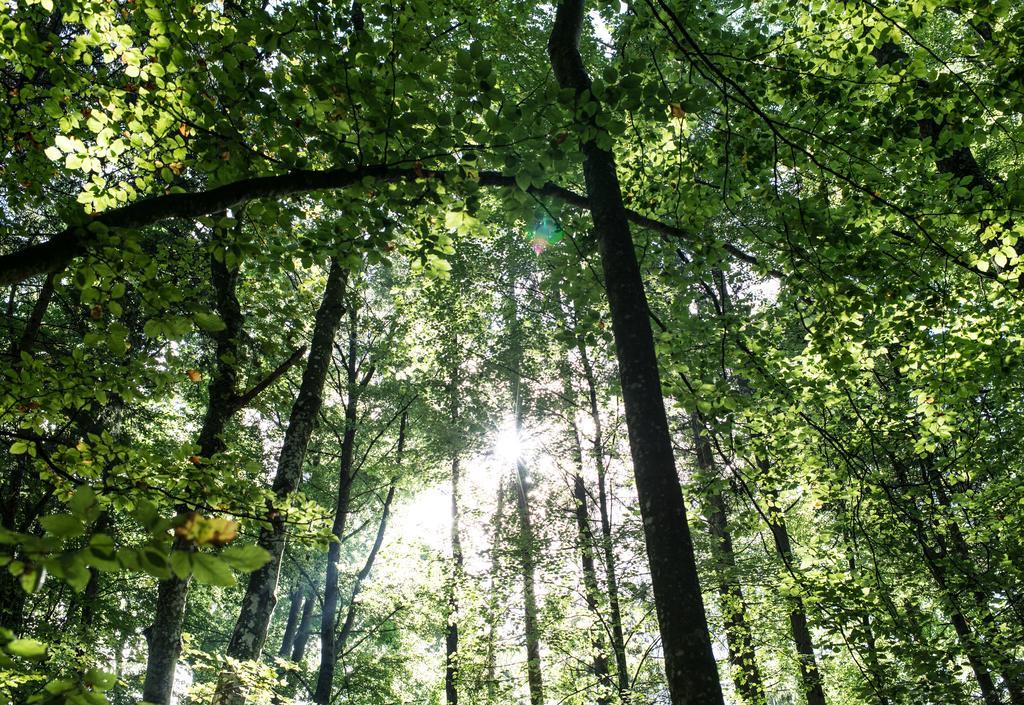 Biohotel Schlossgut Oberambach Zewnętrze zdjęcie